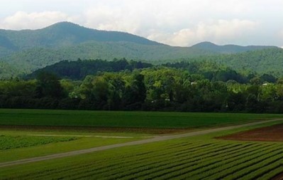 Gaia Herbs grows some of its raw material on its own farm in North Carolina.  Gaia Herbs photo.