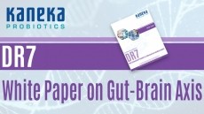 Gut Brain Axis probiotics: Serotonin and the DR7 strain