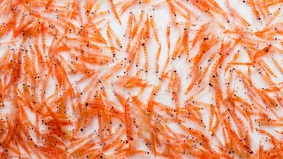 Kilyos Nutrition adds Aker BioMarine krill oil to Brazilian portfolio 