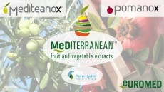 Pomanox® & Mediteanox®: Natural allies for a healthy heart