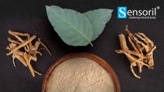 Sensoril® Ashwagandha: Harnessing the Whole Plant for Optimal Benefits 